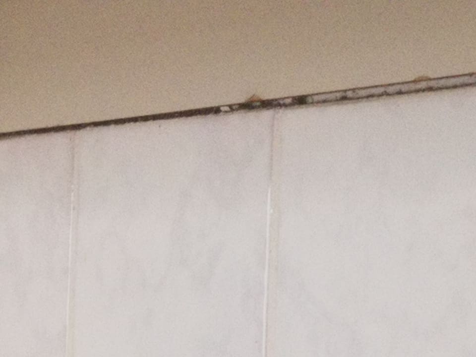 Zimmer Panoramic - Ihr Apartmenthotel im Harz