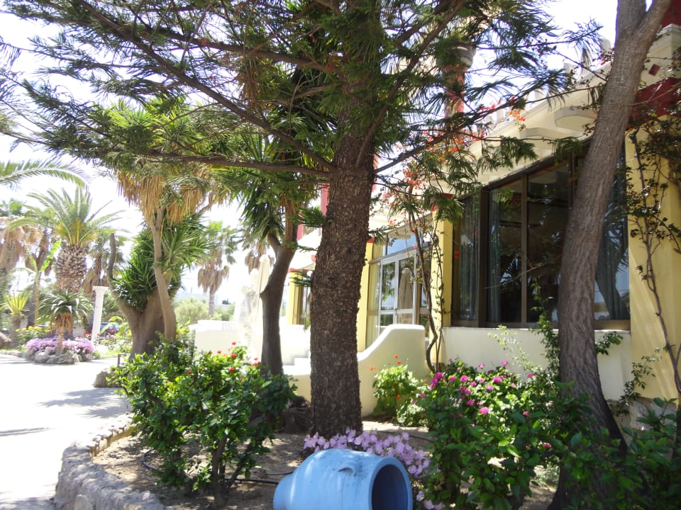 Hotel od strony ogrodu Apollon Hotel