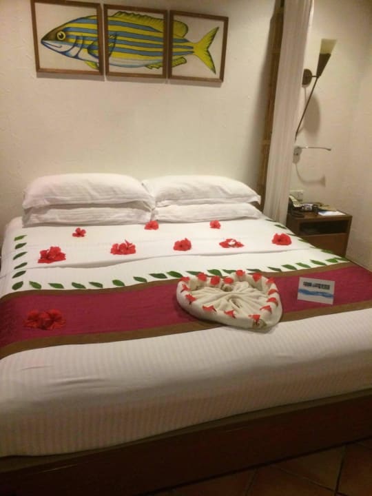 Nette Dekor zum Geburtstag  Kuramathi Maldives