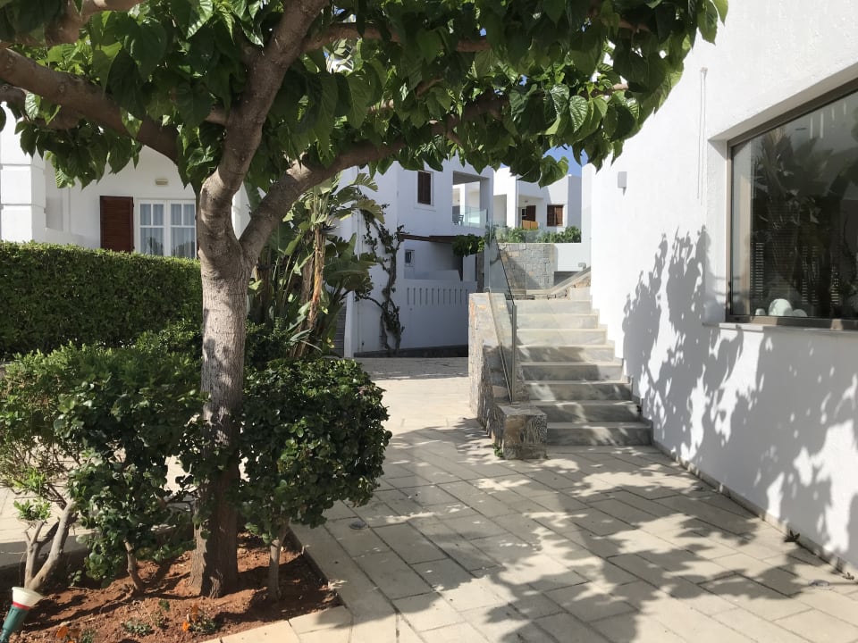 Gartenanlage Maritimo Beach Hotel