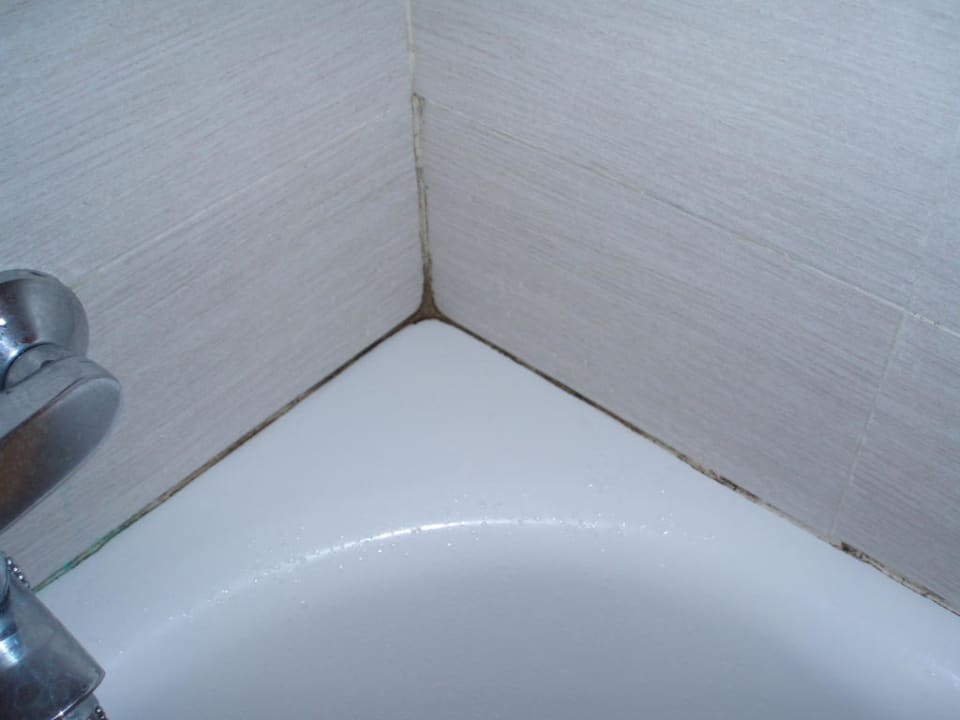 Schimmel im Bad blau punta reina