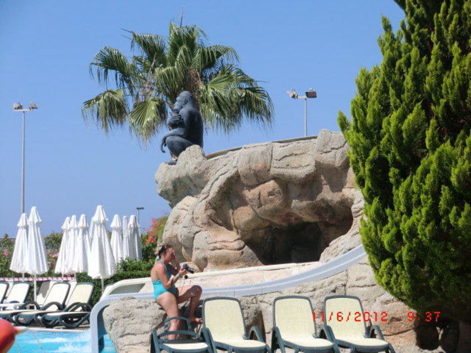 Pool Alba Resort Hotel