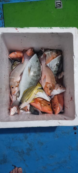 Sport & Freizeit Cinnamon Dhonveli Maldives