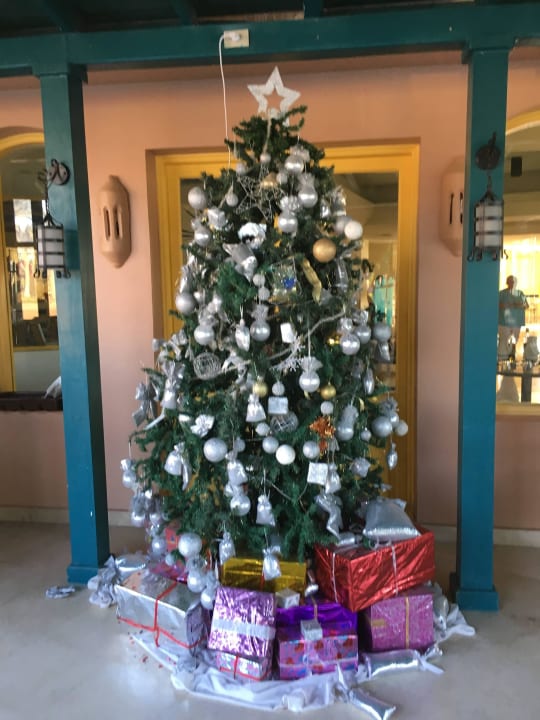 Weihnachtsdeko Club Paradisio El Gouna, Red Sea