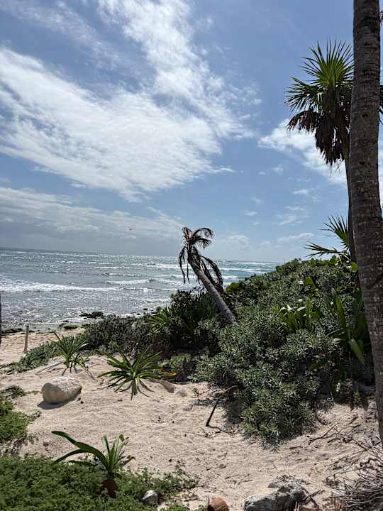 Gartenanlage Bahia Principe Grand Tulum