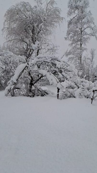 Gartenanlage Pension Bischof
