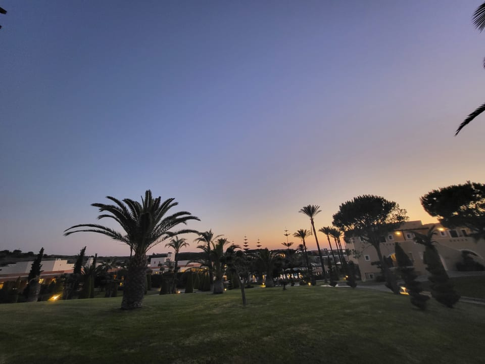 Gartenanlage Hotel Horizon Beach Resort