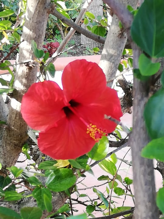 Außenansicht Hotel Park Imperial Terme