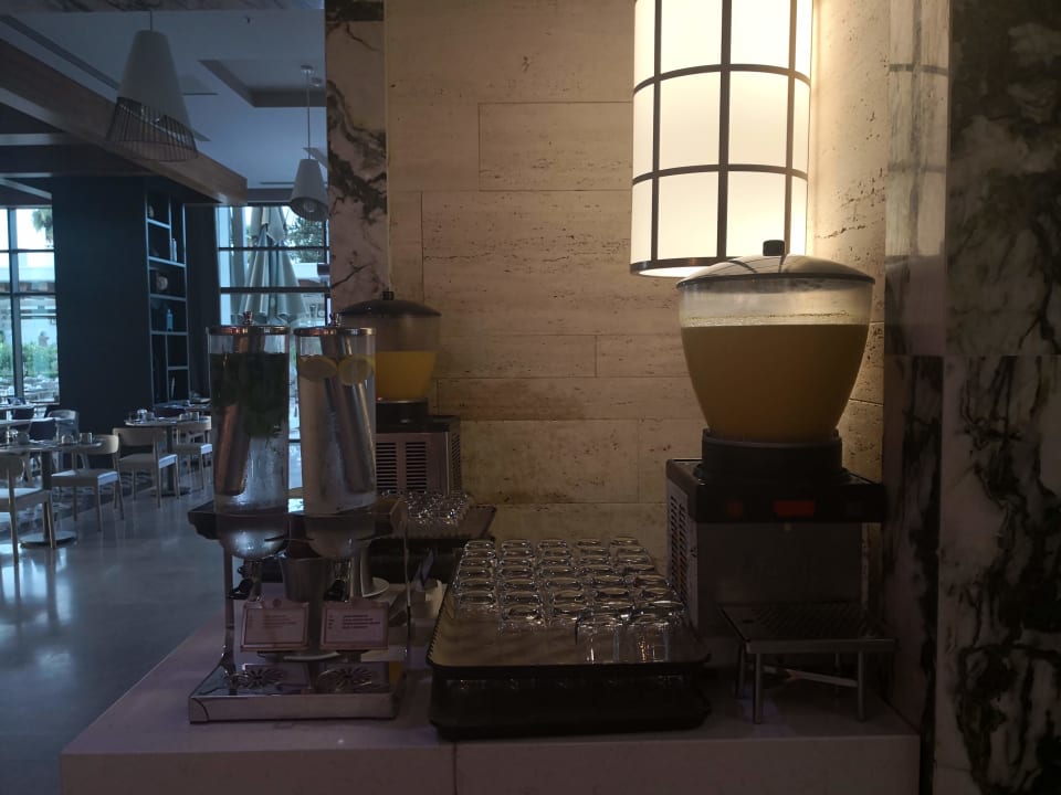 Gastro Acanthus Cennet Barut Collection