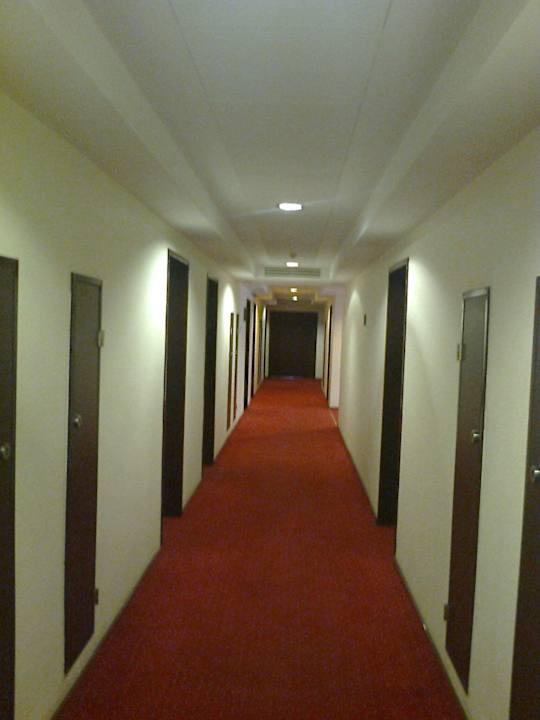 Floor lobby Hotel Rapsodia