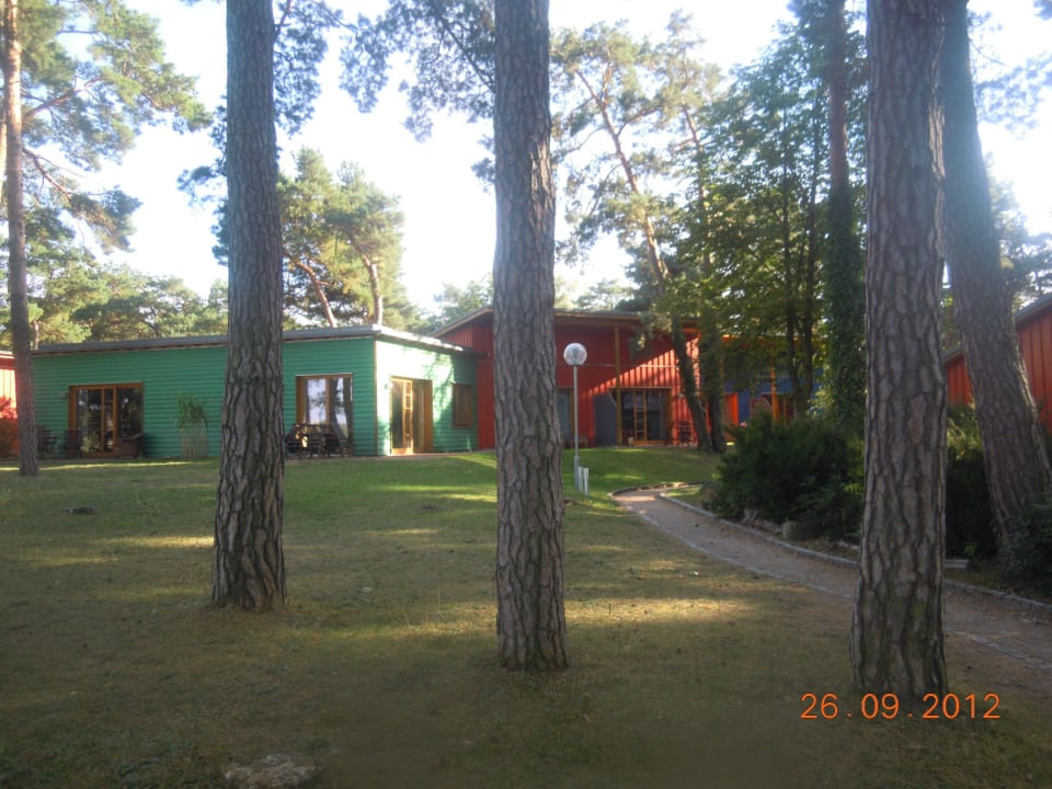 Blick auf die Bungalows Ferienpark Am Glubigsee
