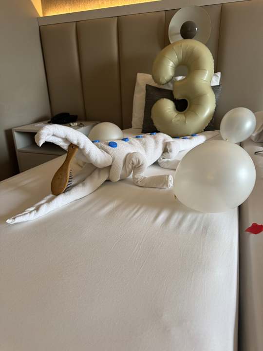 Zimmer Dream Water World