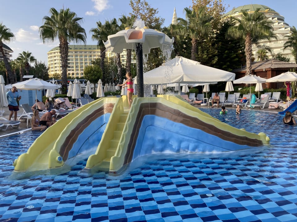 Pool Hotel Delphin Imperial