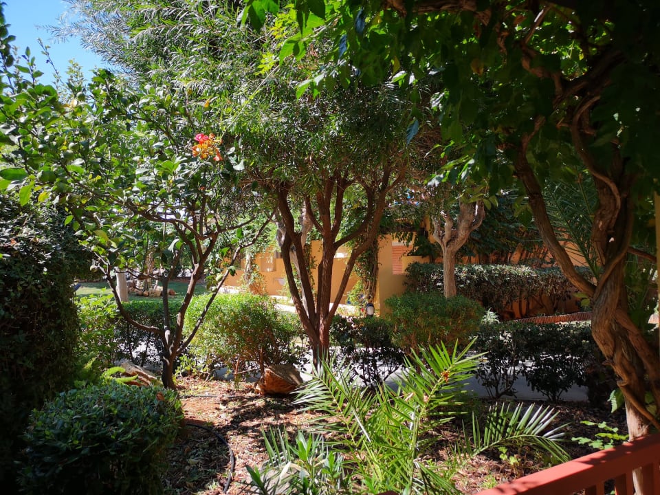 Ausblick Anissa Beach & Village