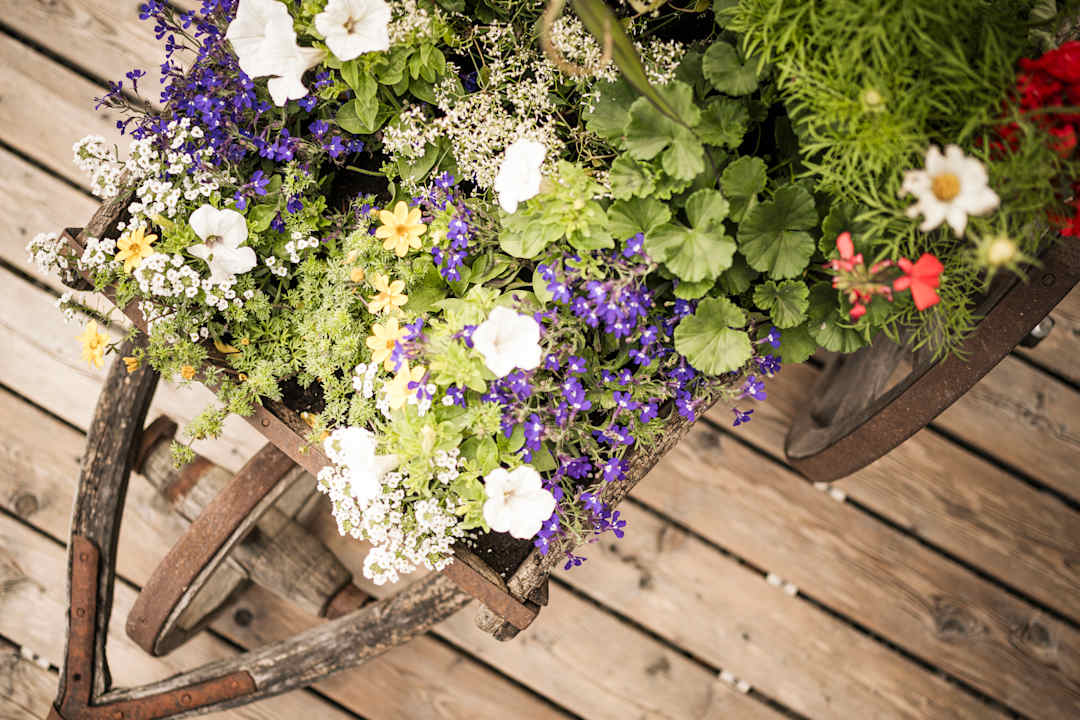 Gartenanlage Miraval NaturHotel