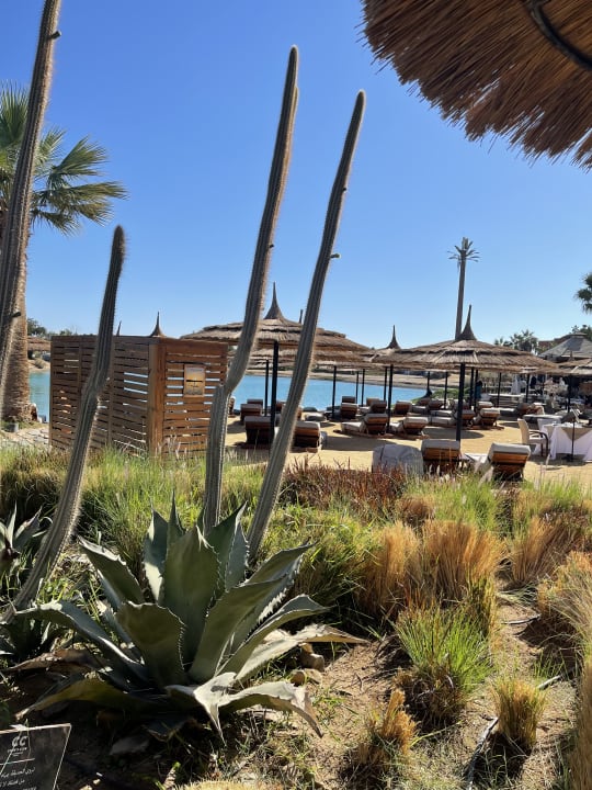 Ausblick Cook's Club El Gouna