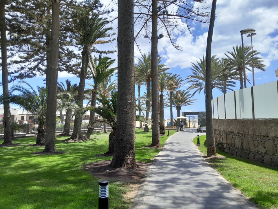 Gartenanlage Hotel Riu Palace Oasis