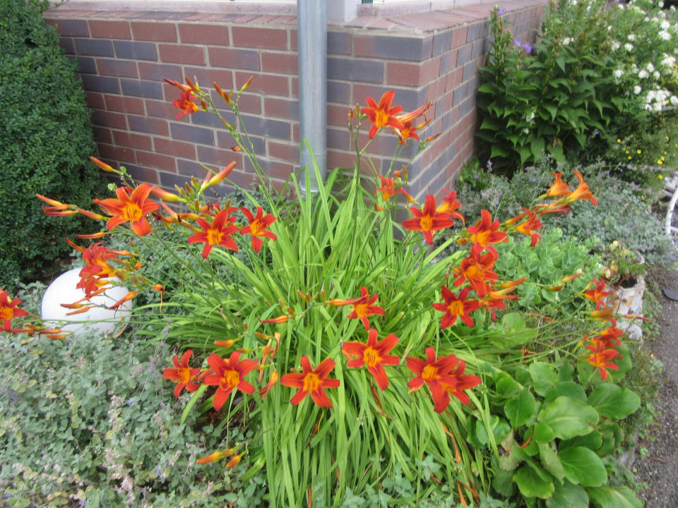 Gartenanlage Landgasthof Zum Sägwirt