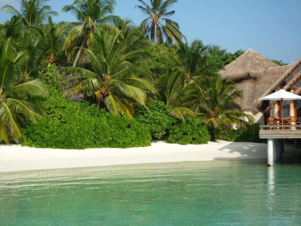 Üppiger Bewuchs Baros Maldives Resort
