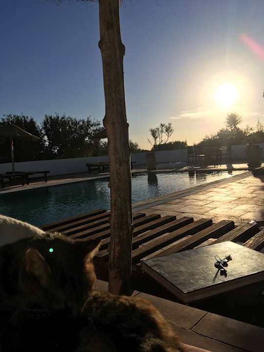 Pool Maison dˋHôte Domaine El-Manar