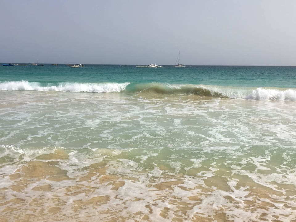 Plaża Oasis Salinas Sea