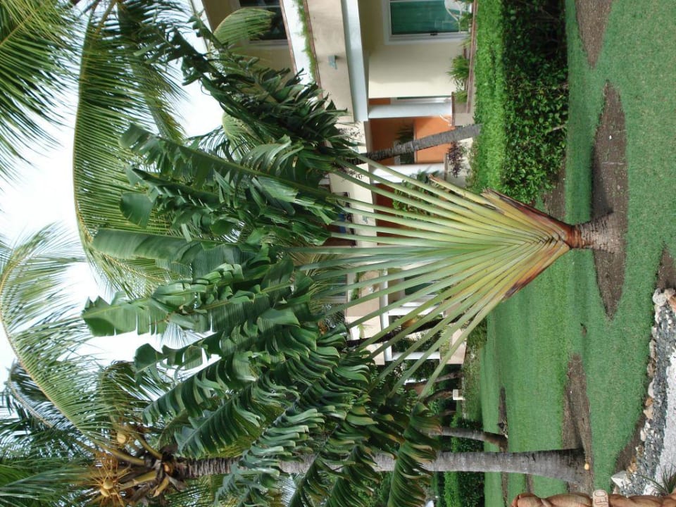 Garten Paradisus Rio de Oro Resort & Spa - Adults only