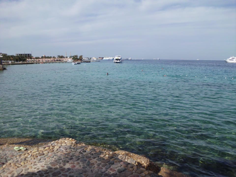 Hotel-Strand Mauer Seagull Beach Resort