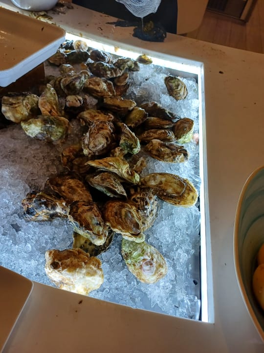 Gastro Iberostar Selection Andalucía Playa