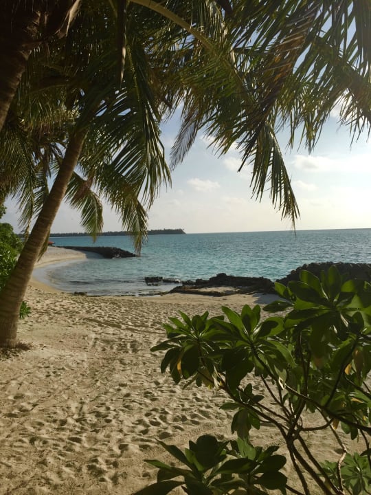 Widok z domku Summer Island Maldives