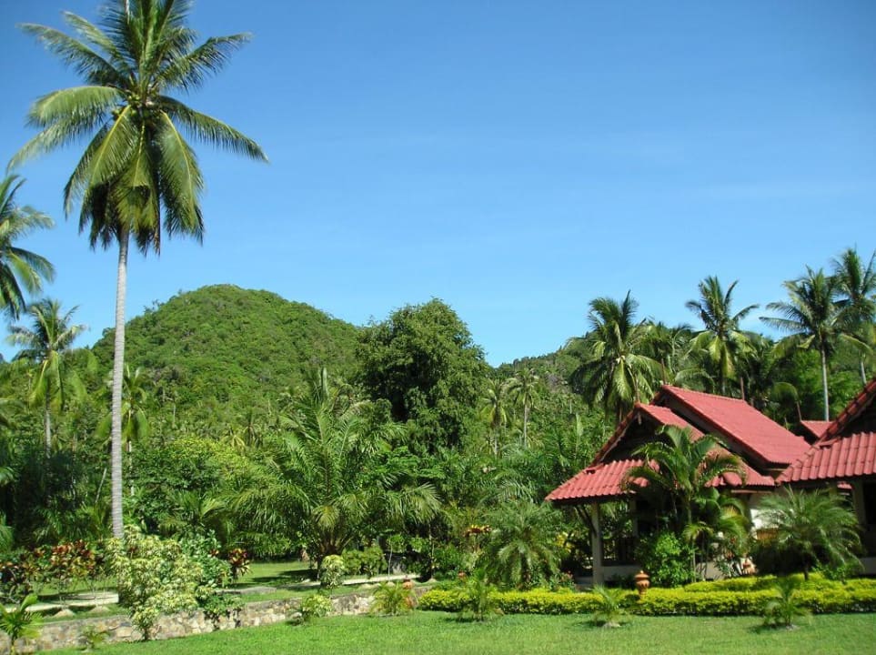 Unser Bungalow und Garten Long Bay Resort Koh Phangan