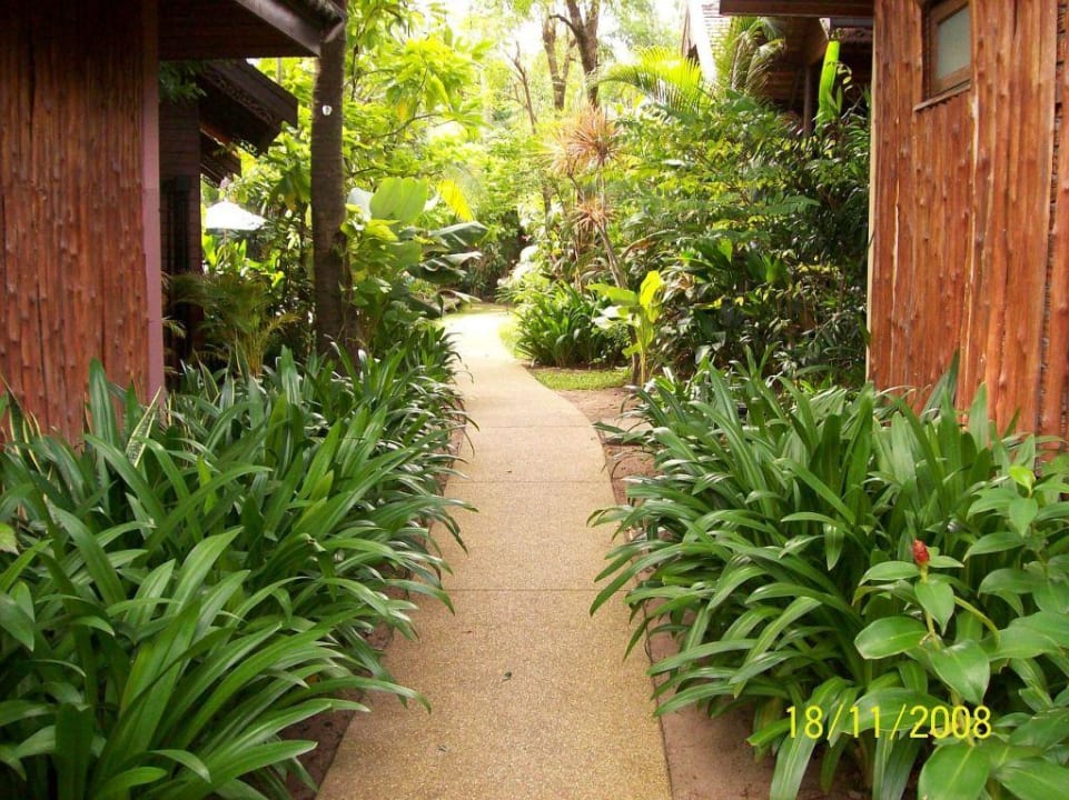 Vegetation in der Anlage Samui Paradise Chaweng Beach Resort & Spa