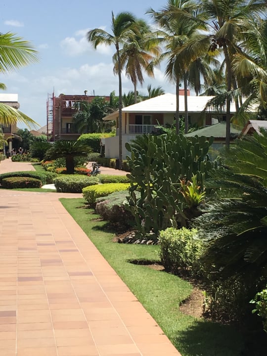 Gartenanlage Grand Sirenis Punta Cana Resort & Aquagames