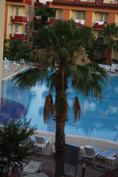 Pool/Palme Hotel Orfeus Park