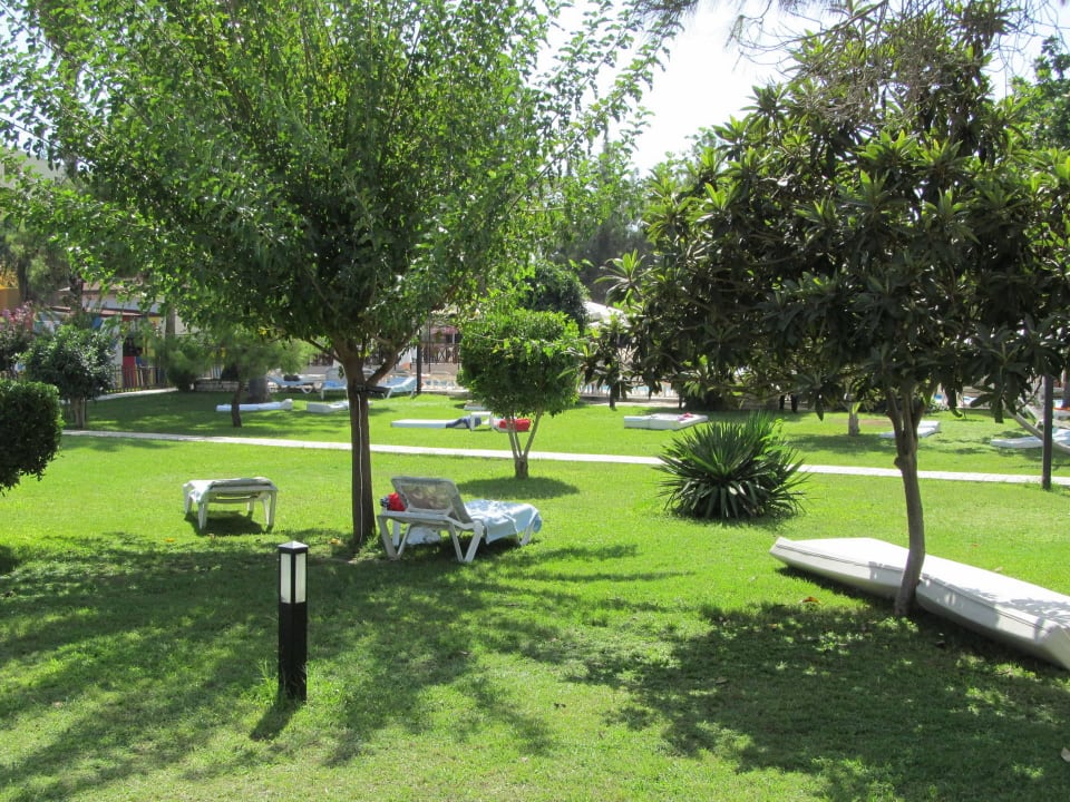 Blick in den Garten Hotel Serra Park