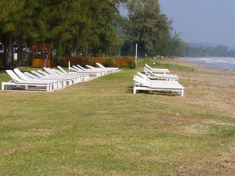 Der absolute Traumstrand Hotel The Privacy Beach Resort & Spa