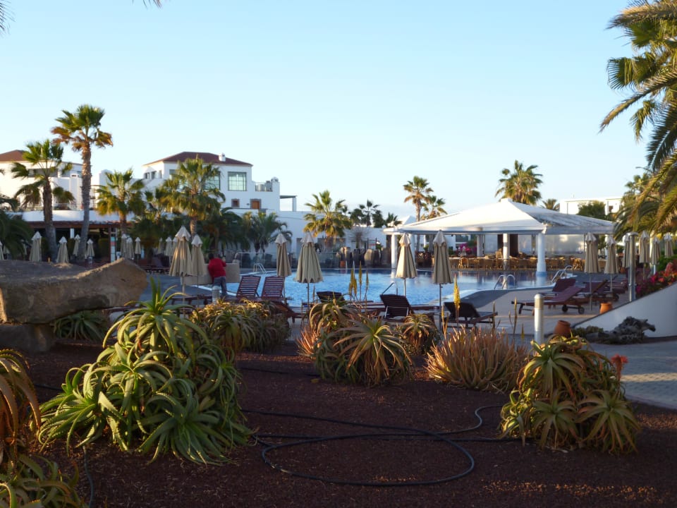 Garten und Pool Hotel Las Marismas de Corralejo