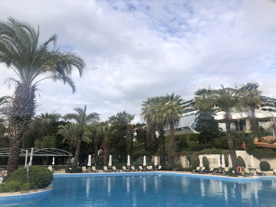 Pool Side Star Elegance