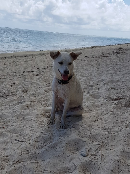 Strand Pearle Beach Resort & Spa