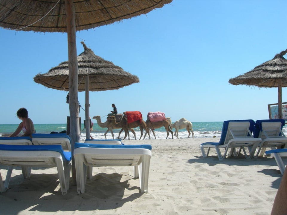 Plage de l'hôtel TUI MAGIC LIFE Penelope Beach