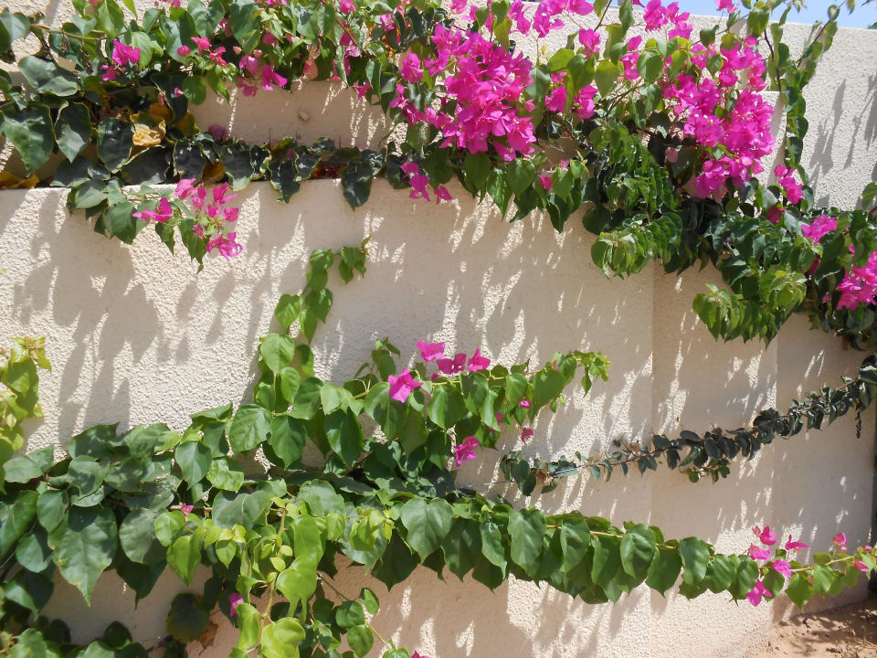 Blumen Zephir Hotel & Spa