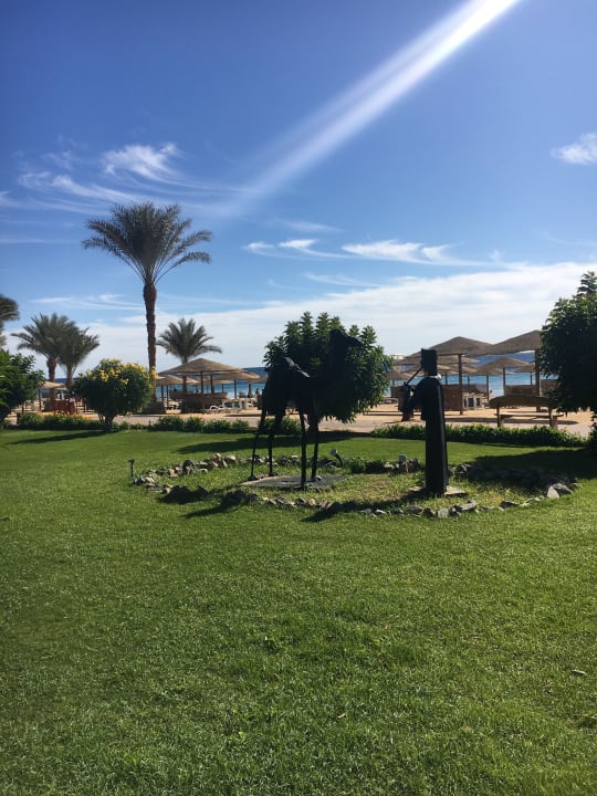 Gartenanlage Fort Arabesque Resort, Spa & Villas
