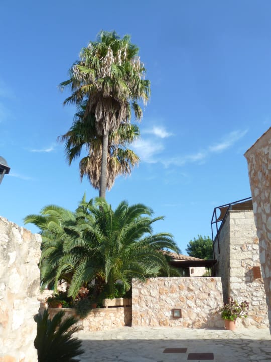 Gartenanlage Hotel Son Trobat Wellness & Spa