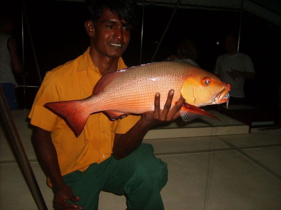Nachtfischen Summer Island Maldives