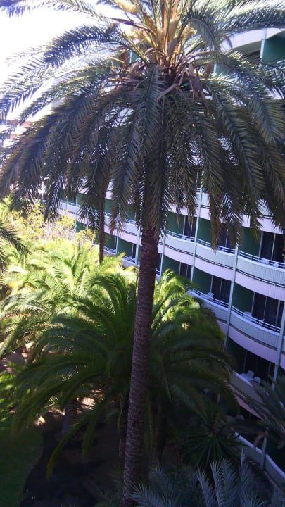 Balkonblick Abora Buenaventura by Lopesan Hotels