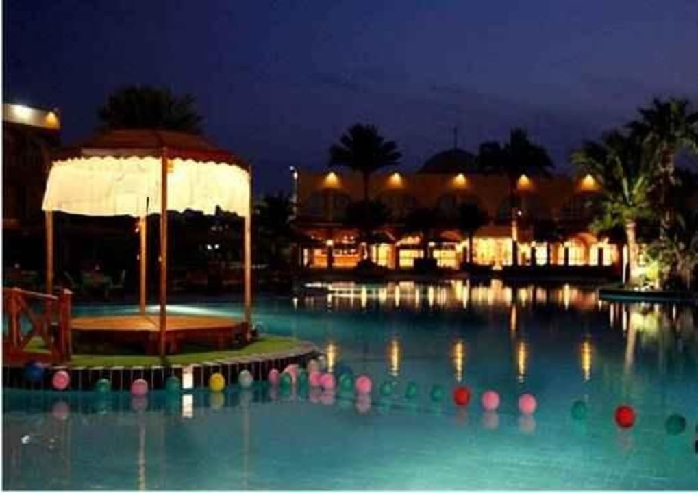 Nice night  Desert Rose