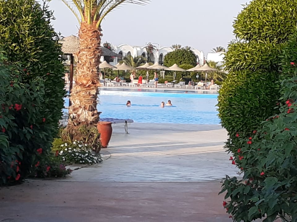 Pool Hotel Gorgonia Beach Resort