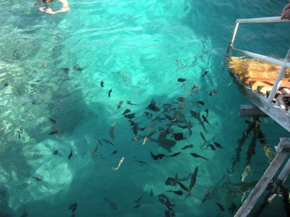 Zejscie do morza z molo Hotel Titanic Palace