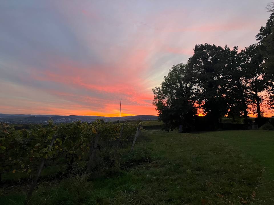Ausblick Relais & Châteaux Hotel Burg Schwarzenstein
