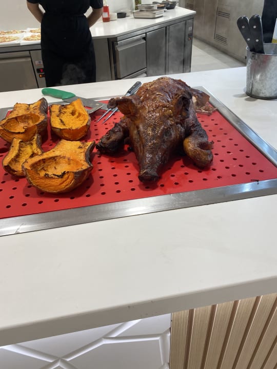 Gastro Gran Sagitario