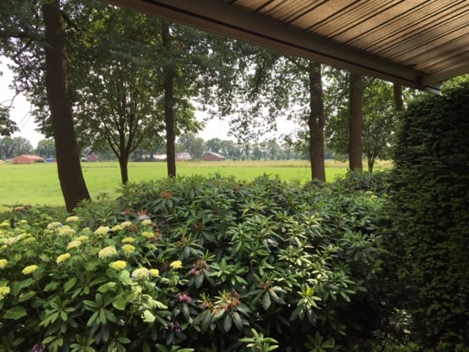 Ausblick Landgoed de Holtweijde